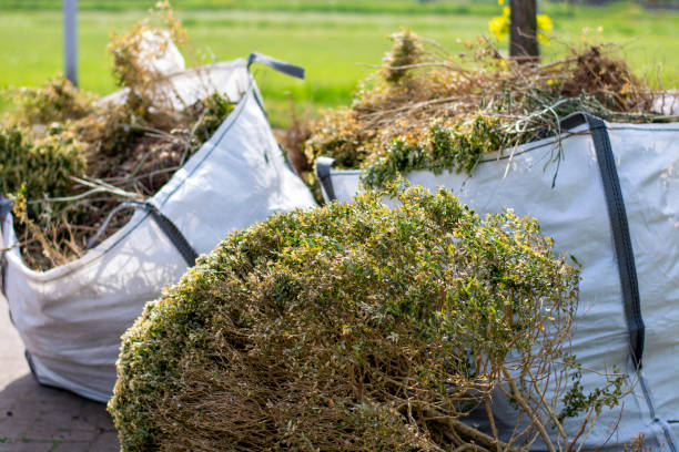Best Same-Day Junk Removal Services  in Parchment, MI